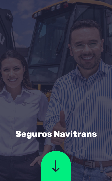 seguros navitrans responsive